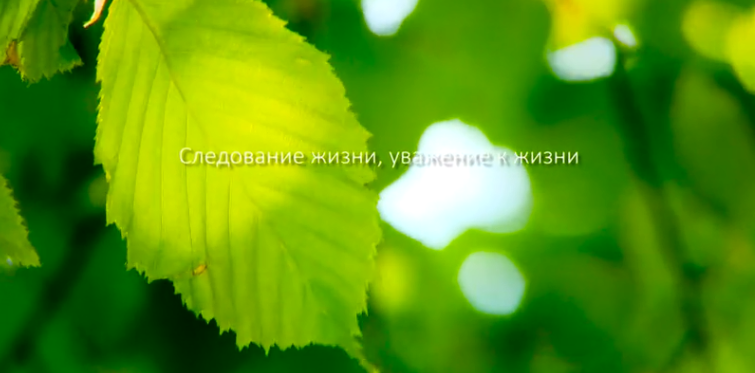 庄闲ag集团形象片（русский）