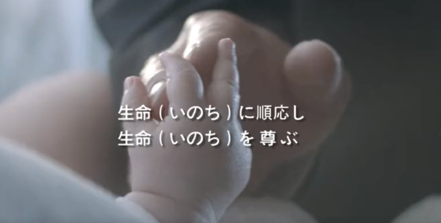 庄闲ag集团形象片（日本語）